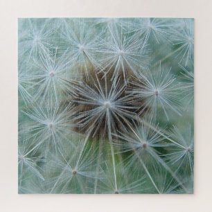 White Dandelion Puzzle
