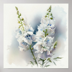 White Delphinium Flower Art Print Poster