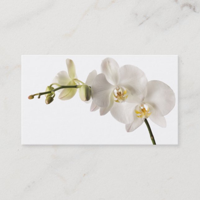 White Dendrobium Orchid Flower Spray Floral Blank Business Card (Front)