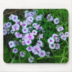 White Dianthus Flower Mousepad