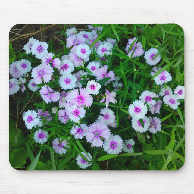 White Dianthus Flower Mousepad (Front)