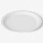 White Dinner Paper Plate