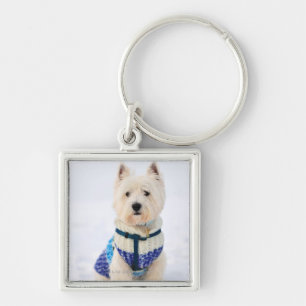 White dog in clothes in the snow. key ring