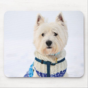 White dog in clothes in the snow. mouse mat