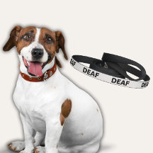 White Dog Leash for Deaf Dog