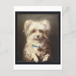 White Dog with Blue Collar Vintage Postcard