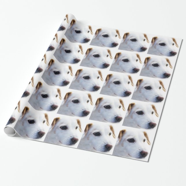 White Dog with Faithful Eyes, Animal Pets Dogs BFF Wrapping Paper (Unrolled)