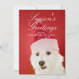 White dog with Santa hat Holiday Card