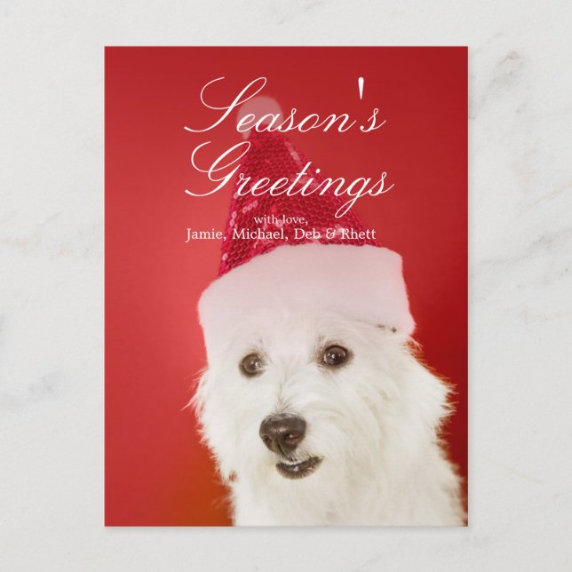 White dog with Santa hat Holiday Postcard (Front)