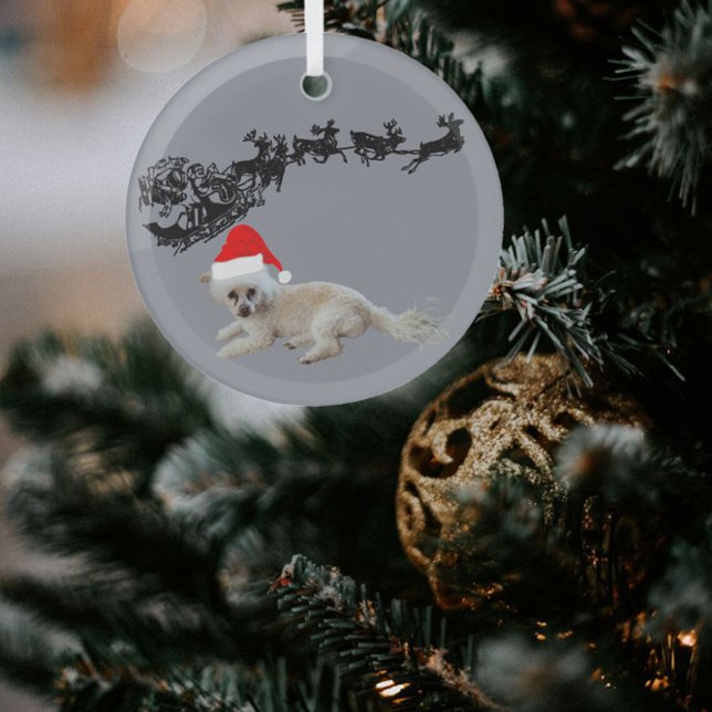 White Dog with Santa Hat | Sleigh and Reindeer  Glass Tree Decoration (Creator Uploaded)