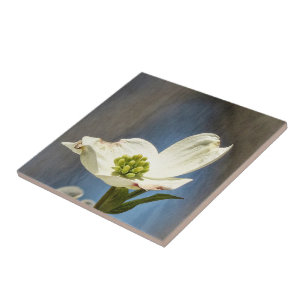 White Dogwood Bloom Tile