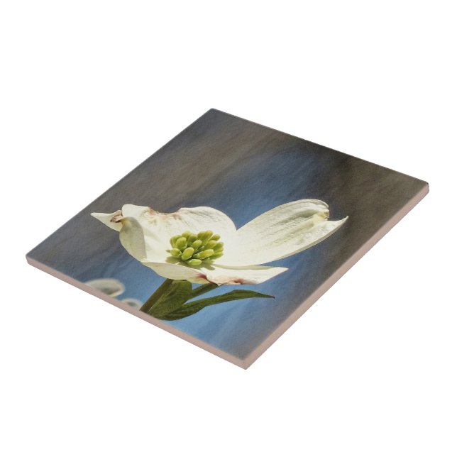 White Dogwood Bloom Tile (Side)