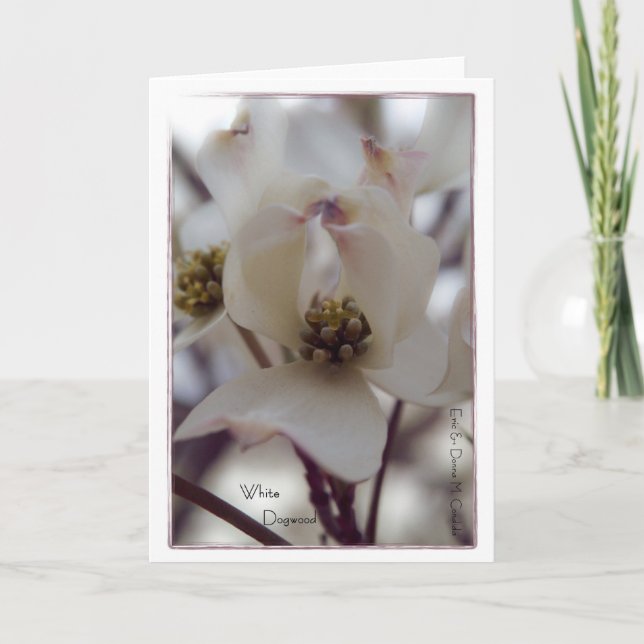 White Dogwood Card (Front)