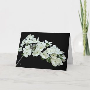 White Dogwood Floral on Black All Occasion Blank Card