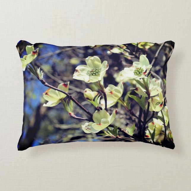 White Dogwood Flower Blossoms   Decorative Cushion (Front)