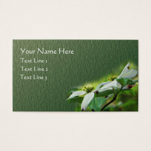 White Dogwood Flower Blossoms Floral