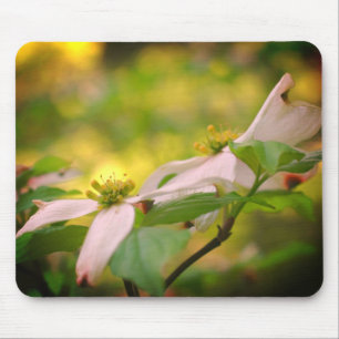 White Dogwood Flowers Mouse Mat
