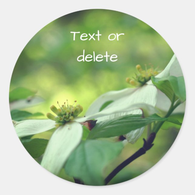 White Dogwood Flowers Personalised Classic Round Sticker (Front)