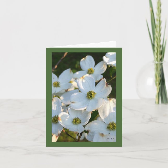 White Dogwood (Raw) Card (Front)