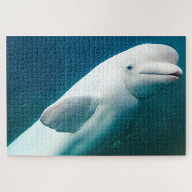 White Dolphins of the seas. Jigsaw Puzzle (Horizontal)