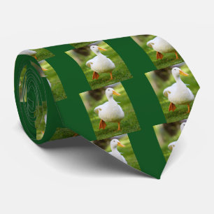 White domesticated duck tie