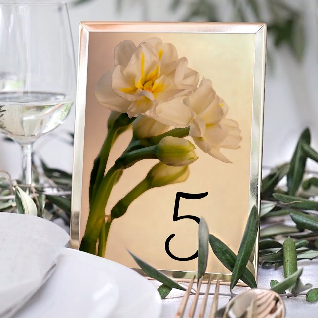 White Double Daffodils Table Numbers (Creator Uploaded)