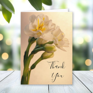 White Double Daffodils Thank You Note Card