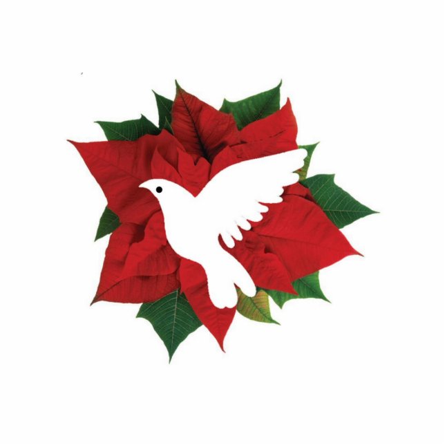White Dove And Poinsettia Photo Sculpture Decoration (Front)