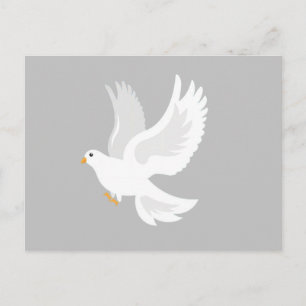 White dove bird on grey postcard