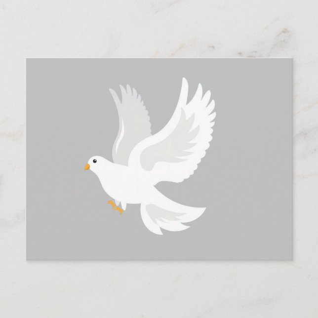 White dove bird on grey postcard (Front)