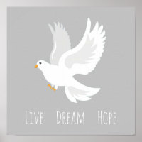 White dove bird on grey