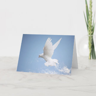 White dove blank greeting card