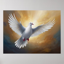 White Dove Flying