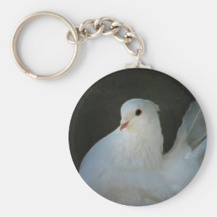 White 'Peace' Dove Photo Keyring Animal Gift AB-D4K 