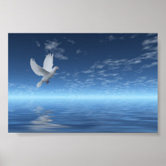 White Dove Poster