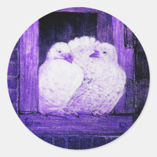WHITE DOVES AT THE WINDOW blue purple Classic Round Sticker