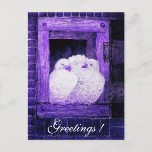 WHITE DOVES AT THE WINDOW blue purple Postcard