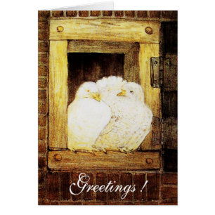 WHITE DOVES AT THE WINDOW, brown yellow