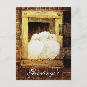 WHITE DOVES AT THE WINDOW brown yellow Postcard