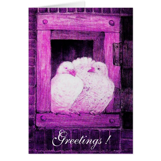 WHITE DOVES AT THE WINDOW, pink purple violet (Front)