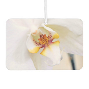 White Dream Orchid Car Air Freshener