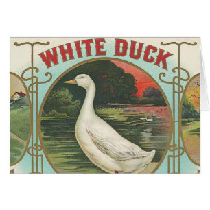 White Duck