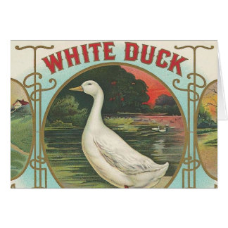 White Duck