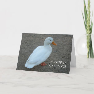 White Duck Birthday Card