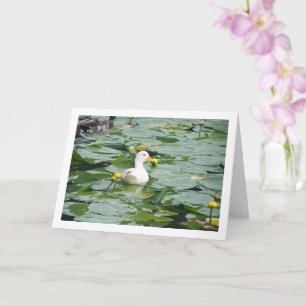 White Duck In Lily Pond Card