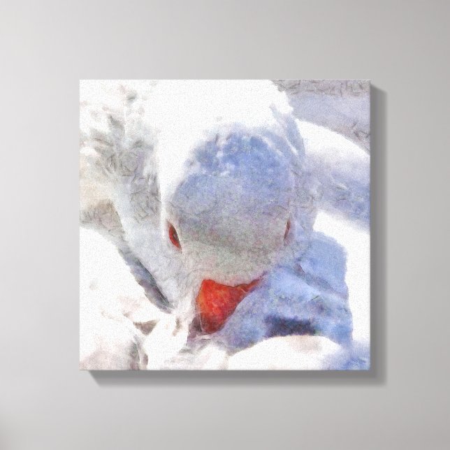 White Duck Preening Art Canvas Print (Front)