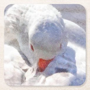 White Duck Preening Art Square Paper Coaster