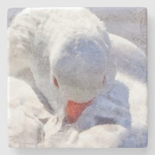White Duck Preening Art Stone Coaster
