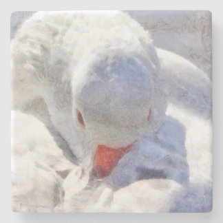 White Duck Preening Art Stone Coaster