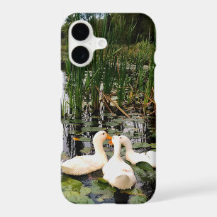 White ducks, lily pads, cattails, lake shore